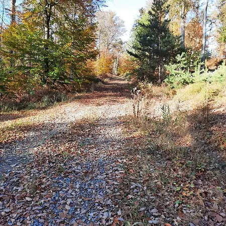 Waldstrasse Lutzelbach